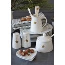 KRASILNIKOFF SALT & PEPPER SET STAR / Salz &...